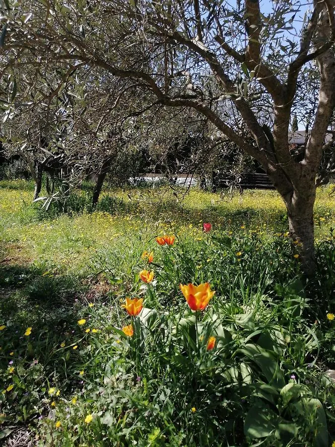 Villa Gonfaron Holiday home